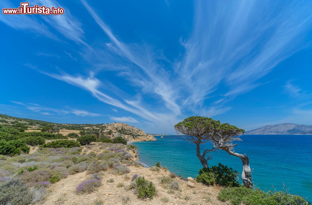 Immagine Sull'isola di Kato Koufonisi fra Naxos e Amorgos, Grecia. Disabitato, questo piccolo isolotto con una superficie di 4,3 km quadrati è stato abbandonato alla fine del 1960. La gente si rifugia però spesso qui nelle Cicladi per ammirarne la natura selvaggia e incontaminata.