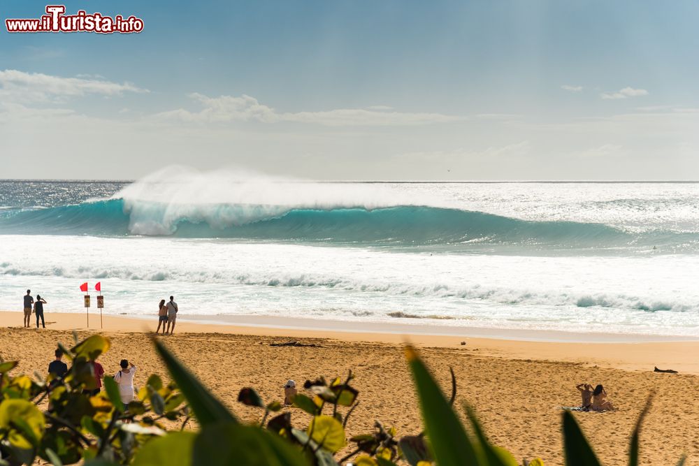 Immagine Surfisti studiano le grandi onde di Pipeline beach, isola di Oahu, Hawaii