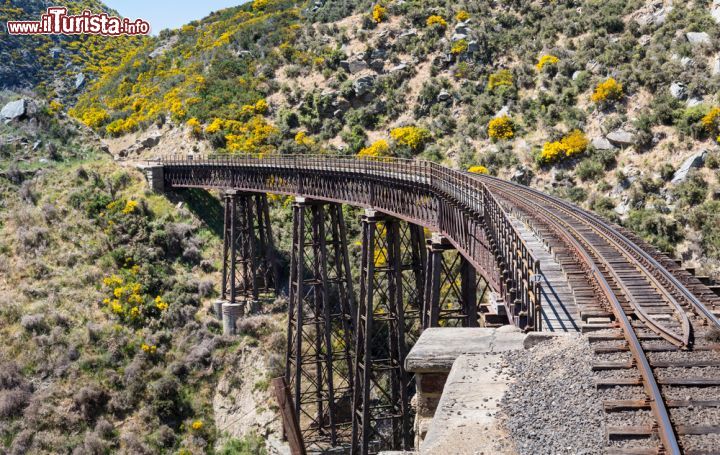 Immagine Linea ferroviaria della tratta turistica di Taieri Gorge, Dunedin, Nuova Zelanda. Il suggestivo panorama della valle attraversata durante questo tragitto - © Steve Heap / Shutterstock.com