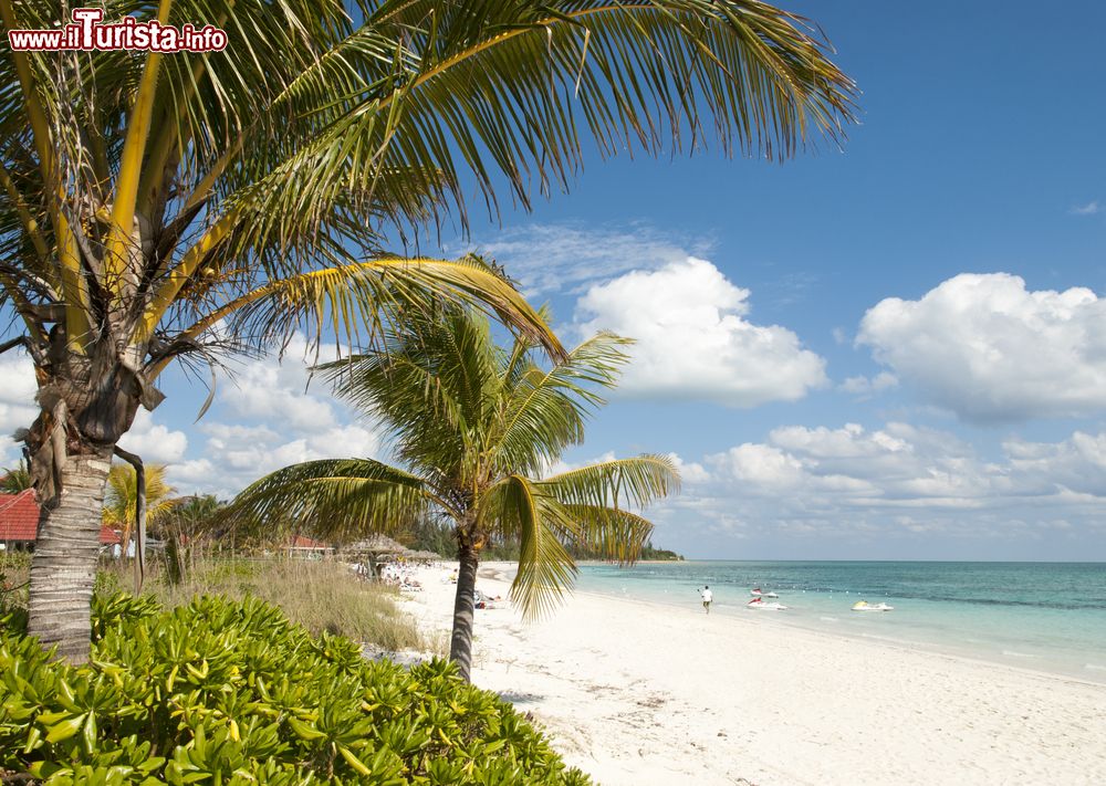 Immagine Taino beach nella città di Freeport sull'isola di Grand Bahama. Un tratto di litorale di questo porto franco situato sulla costa meridionale dell'isola.