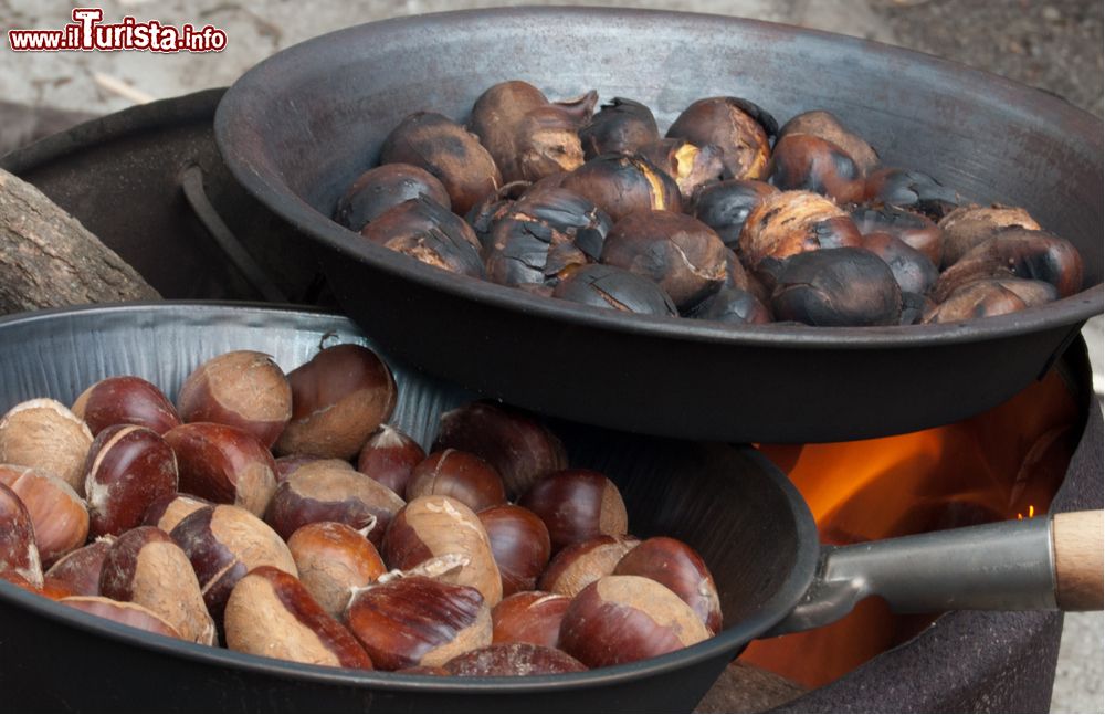 Fiera delle castagne dellAlta Valmarecchia Talamello