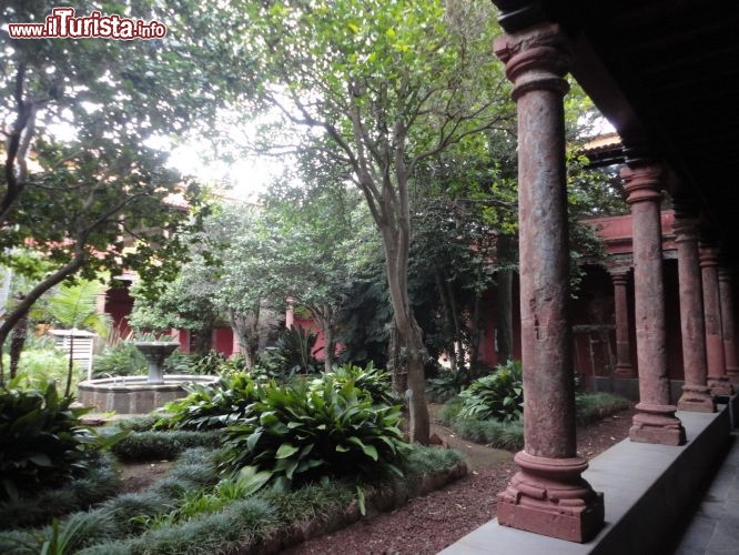 Immagine Tenerife (Canarie): il patio dell'ex-convento de San Agustìn, un tripudio di alberi e piante tropicali.