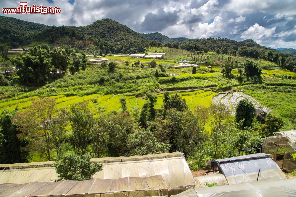 Immagine Terrazzamenti di riso a Mae Sariang nel nord della Thailandia.