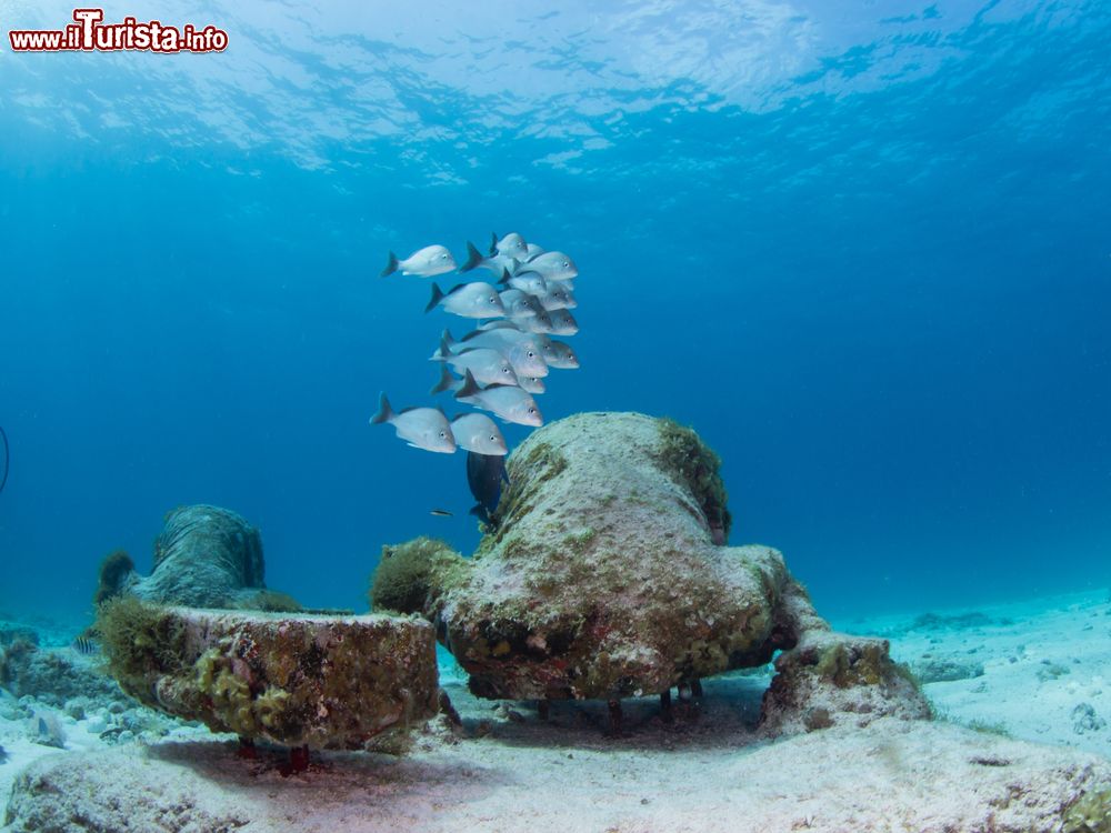 Immagine The Bankers Musa Museum al largo dell'Isla Mujeres, Messico. Questo meraviglioso museo sottomarino raccoglie 460 sculture a grandezza naturale. Ogni anno 300 mila turisti visitano questa singolare attrazione che si trova a 8 metri di profondità nel Mar dei Caraibi.