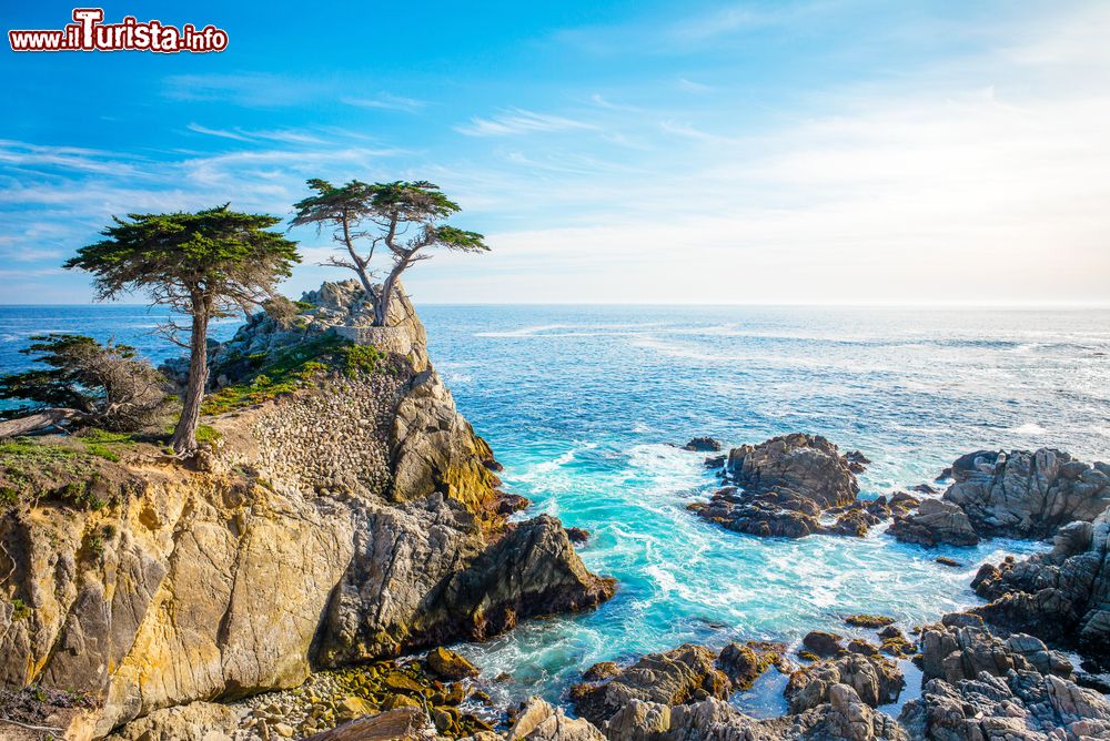 Immagine The Lone Cypress, fotografato dalla 17 Mile Drive, presso Pebble Beach, in California.