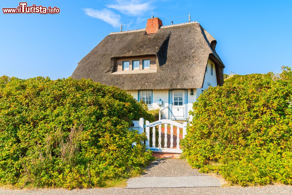 Immagine Una tipica casa della Frisia nel villaggio di Hornum, costa sud dell'isola di Sylt, Germania.