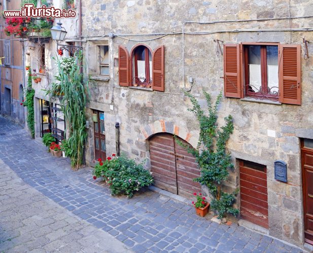 Immagine Tipica strada del centro di Bolsena, Italia. Abbellite da fiori e vegetazione, le facciate delle abitazioni di Bolsena si affacciano sulla strada lastricata che attraversa il borgo medievale - © trotalo / Shutterstock.com