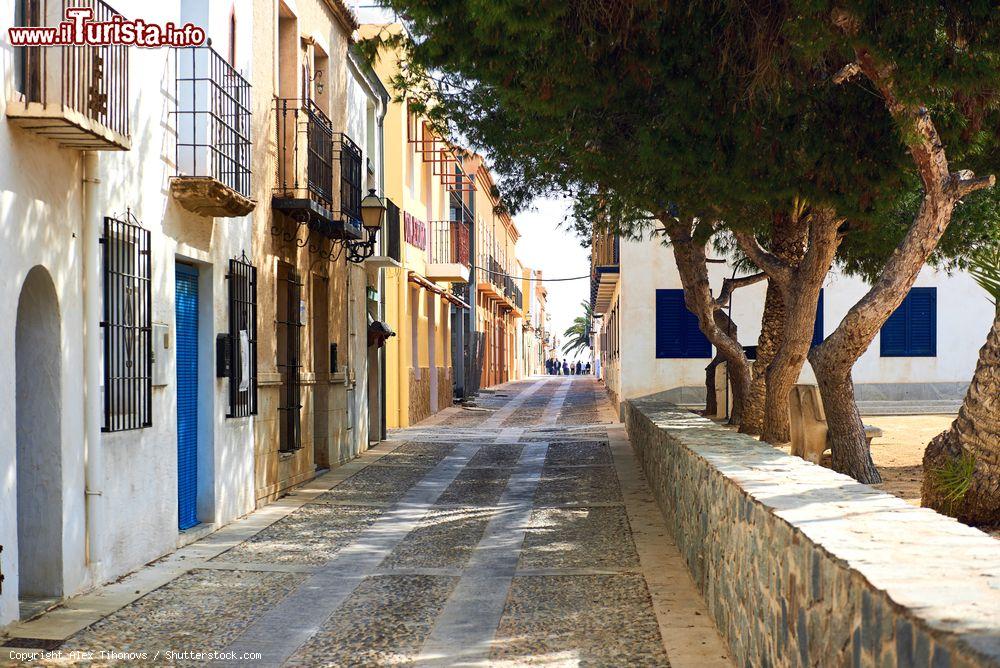 Immagine Una tipica viuzza dell'isola di Tabarca, Spagna. Passeggiando alla scoperta di quest'isolotto spagnolo se ne possono scorgere angoli pittoreschi - © Alex Tihonovs / Shutterstock.com