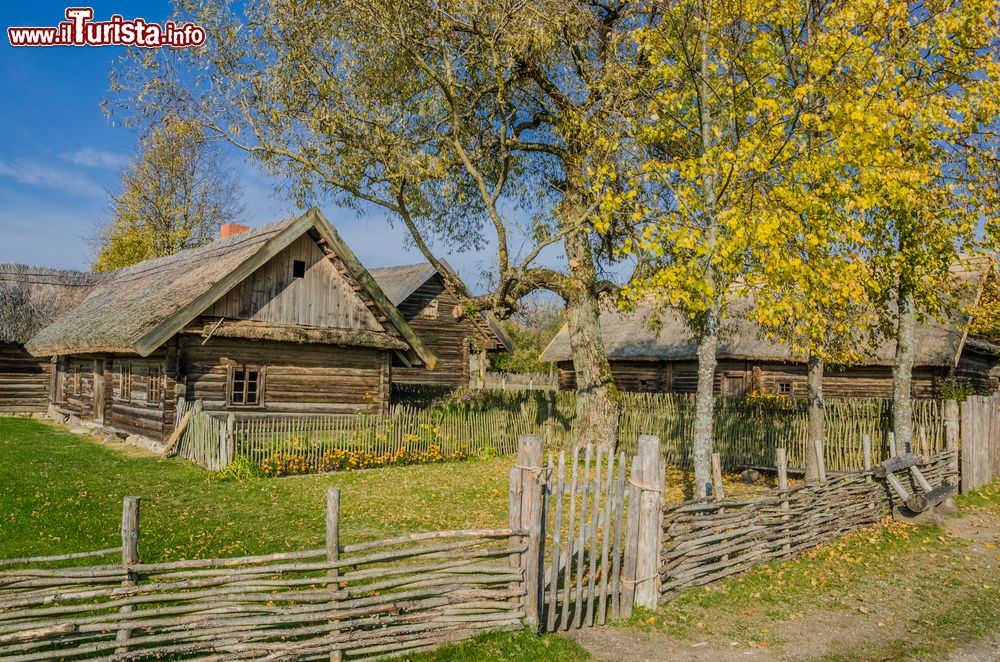 Immagine Tipiche case coloniche provenienti da diversi luoghi della Lituania: si trovano al museo etnografico open-air di Kaunas nei pressi di Rumsiskes.