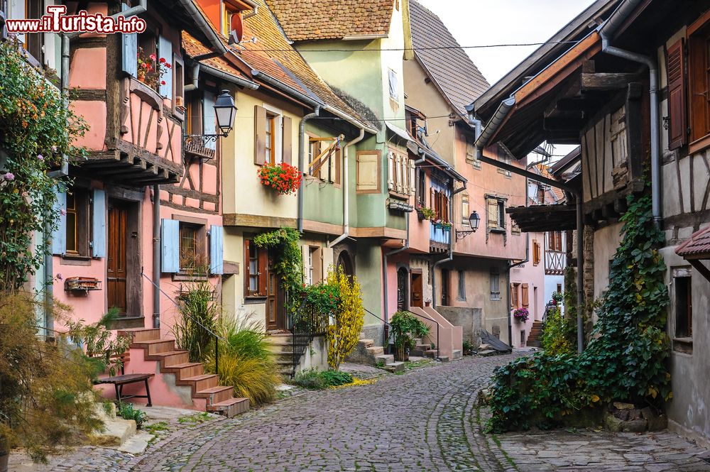 Immagine Tipiche case dalla facciata colorata nel centro di Eguisheim, Alsazia (Francia).