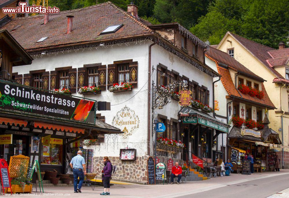 Immagine Tipiche case della regione di Schwarzwald a Triberg, Germania. Questa cittadina si trova nella Foresta Nera - © Drozdowski / Shutterstock.com