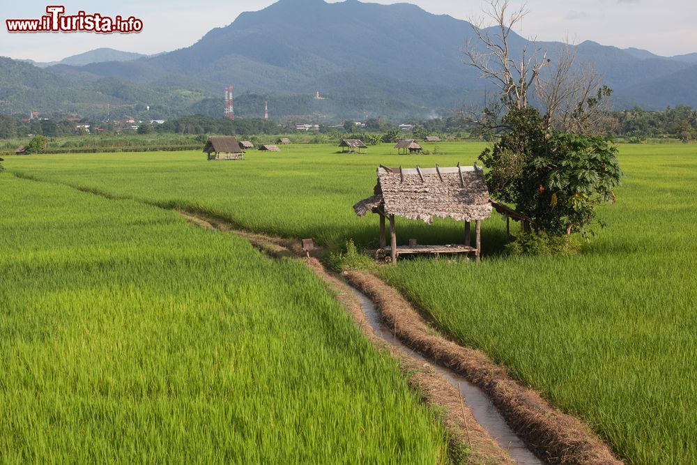 Immagine Tipiche costruzioni in legno e fogliame nei dintorni di Mae Sariang, Thailandia.