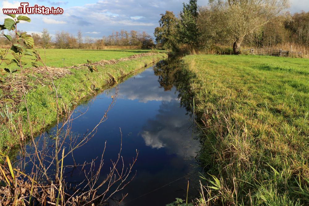 Immagine Tipico paesaggio agreste nei pressi di Wierden, Olanda. Si tratta di un villaggio situato nella regione di Overijssel.