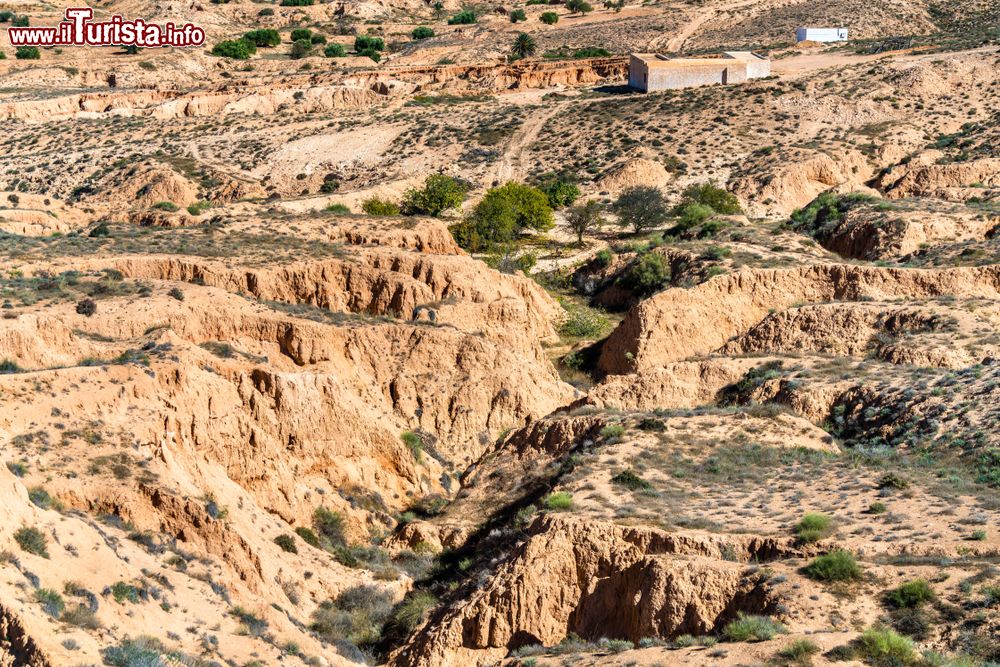 Immagine Tipico paesaggio naturale nel territorio del Governatorato di Medenine, Tunisia. Istituito nel 1956, questo governatorato è uno dei 24 presenti in Tunisia e corrisponde alla fascia meridionale costiera del paese.