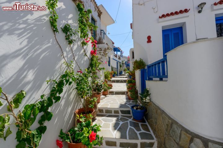 Immagine Tipico vicolo con bouganville a Kythnos, Grecia. Una delle caratteristiche viuzze di questa graziosa isola greca situata a un centinaio di chilometri dal Pireo - © Michael Paschos / Shutterstock.com