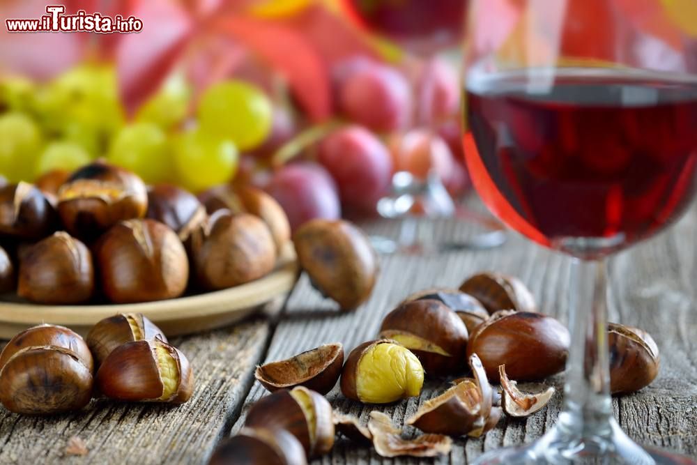 Immagine Torggelen, vino e gastronomia tipica in Trentino alto Adige