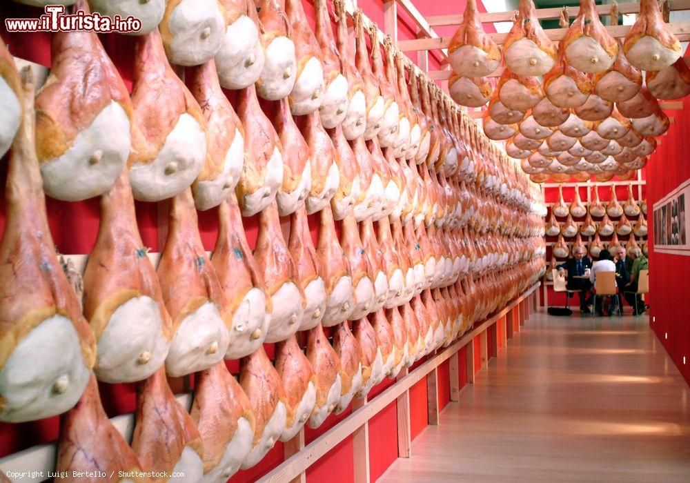 Immagine Torino, Salone del gusto: esposizione di prosciutti alla fiera del Lingotto - © Luigi Bertello / Shutterstock.com