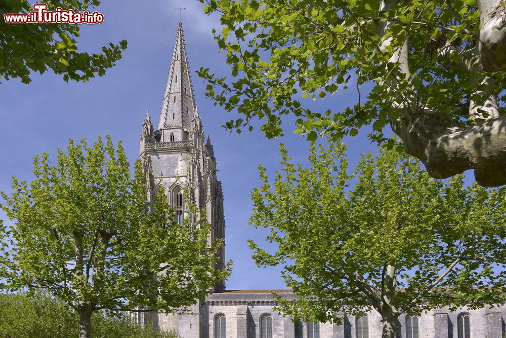 Immagine La torre campanaria della chiesa di San Pietro a Marennes, Francia. Fotografato dietro a foglie e rami di alberi, questo edificio religioso è uno dei più importanti del comune della Charente Marittima, nel dipartimento sudovest della Francia.