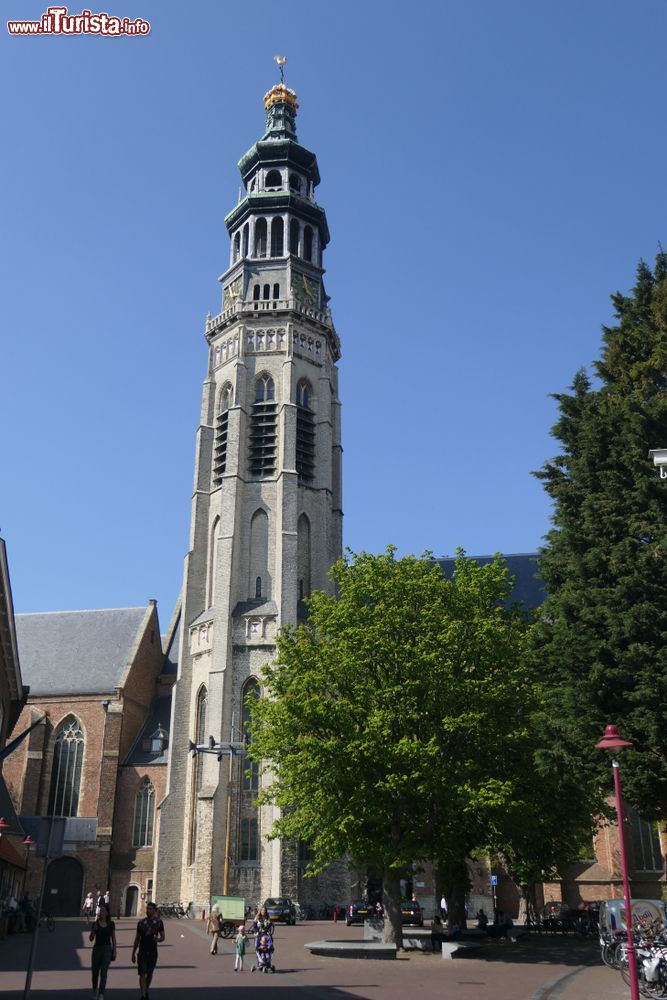 Immagine Torre campanaria nel centro storico di Middelburg, Olanda.