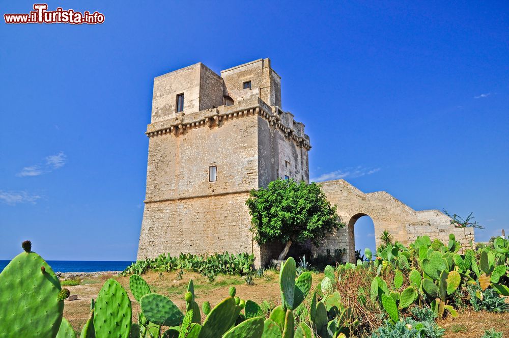 Le foto di cosa vedere e visitare a Torre Colimena