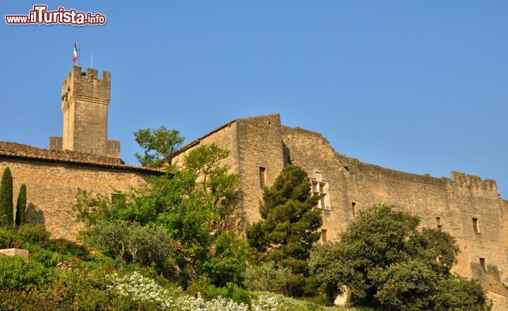 Immagine Salon-de-Provence, Francia: la sagoma della torre merlata dello Château de l'Empéri svetta sulle case del centro storico - foto © Pack-Shot / Shutterstock.com