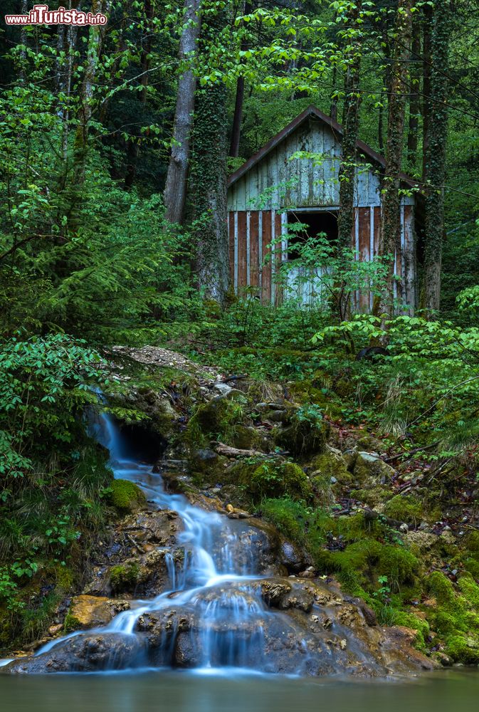 Immagine Torrente e casetta in legno in un bosco nei pressi di Isny in Allagau, Germania.