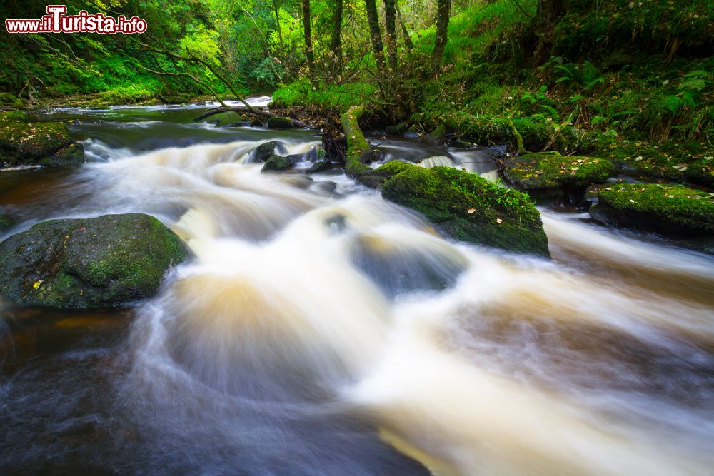 Immagine Torrente irlandese di Clare Glens a Limerick, Irlanda.