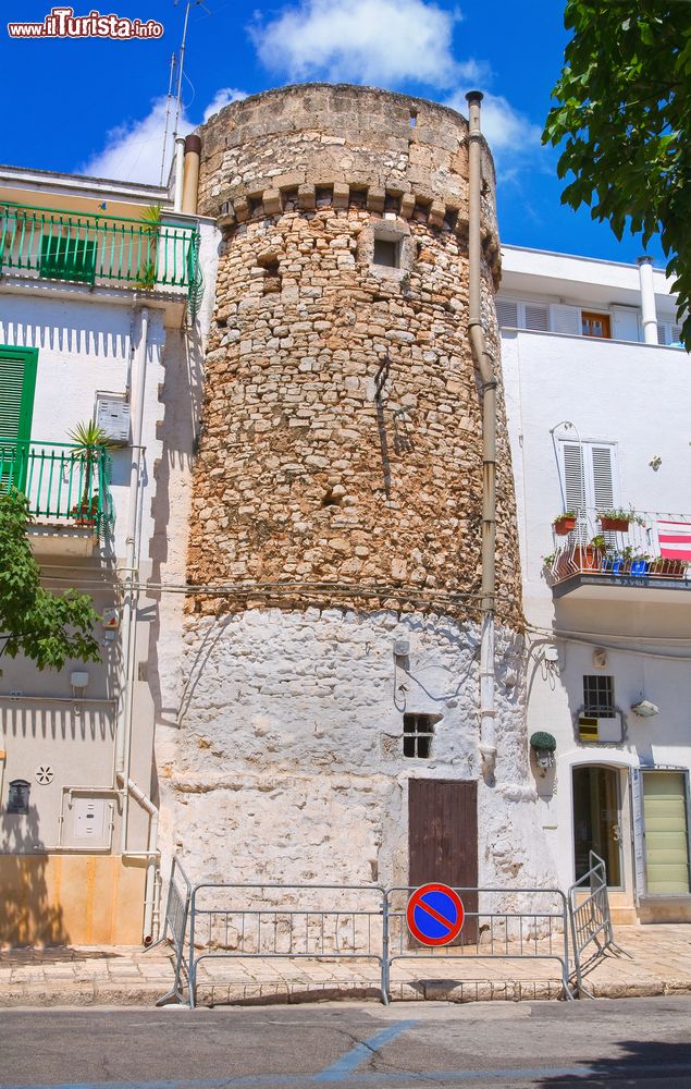 Immagine Il Torrione di San Francesco a Fasano, Puglia, Italia. In passato la città era circondata da un muro di cinta con 11 torri di cui oggi ne rimane purtroppo solo una: il Torrione delle Fogge o di San Francesco. Si trova a guardia della porta est di Fasano.