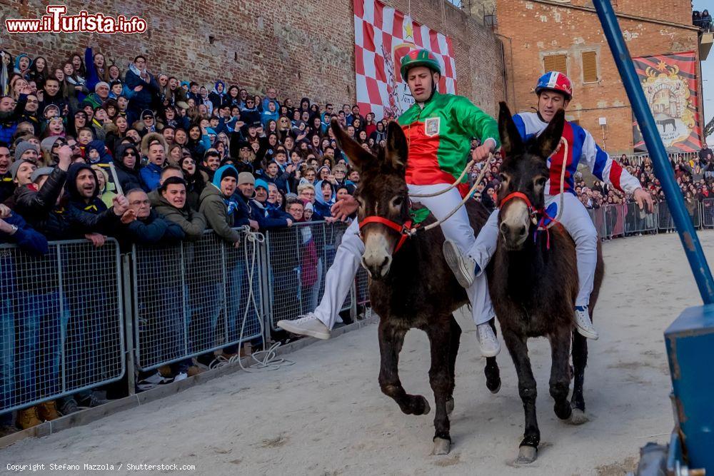 Palio dei Somari Torrita di Siena