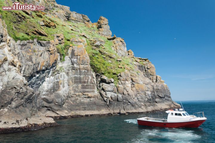Immagine Tour in barca sulle coste delle isole Skellig in Irlanda. Sono luoghi ideali per il birdwatching