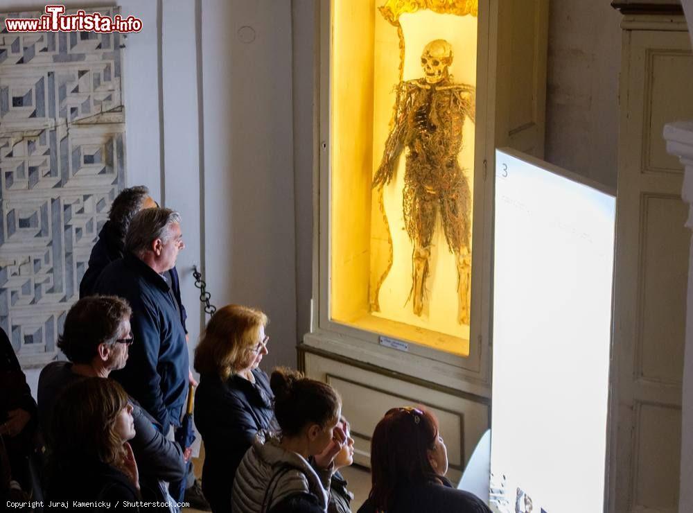 Immagine Tour nella Napoli Dark: le macchine anatomiche della Cappella San Severo, Campania - © Juraj Kamenicky / Shutterstock.com