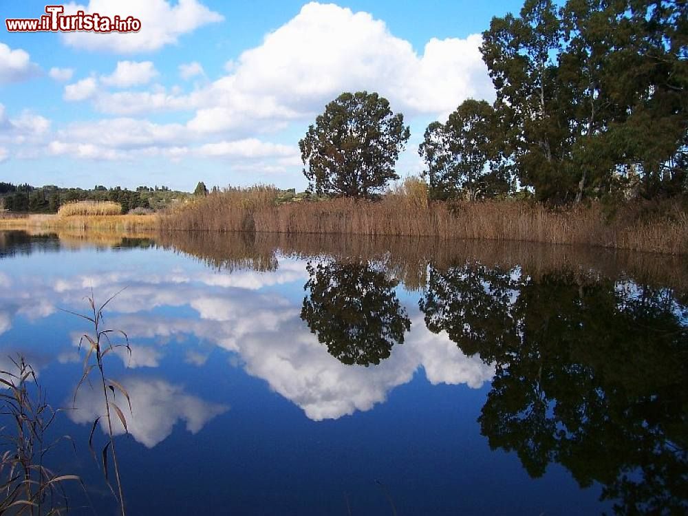 Immagine Tra i laghi più belli della Puglia vanno inseriti i Laghi Alimini, nel Salento Di Idrusa di Wikipedia in italiano - Trasferito da it.wikipedia su Commons., Pubblico dominio, Collegamento