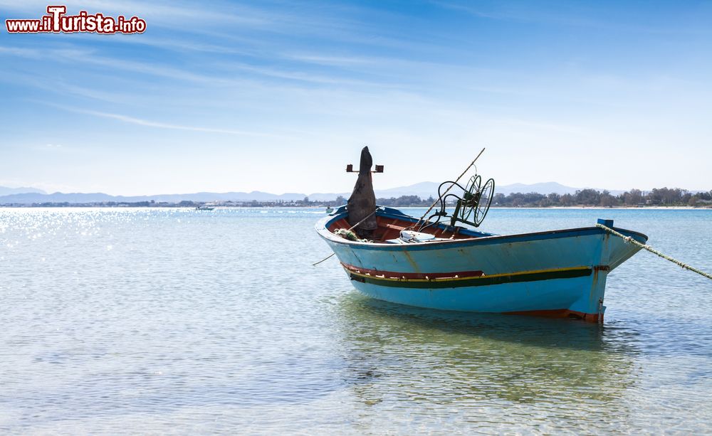 Immagine Una tradizionale barca da pesca colorata nel Mar Mediterraneo, Nabeul, Tunisia. La capitale tunisina della ceramica, così viene definita Nabeul, lega il proprio nome anche al turismo e alla pesca.