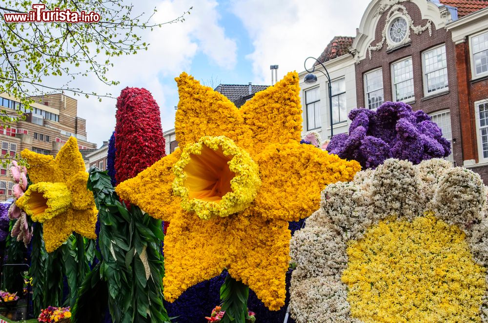 Immagine Tradizionale sfilata dei fiori a Haarlem (Olanda).