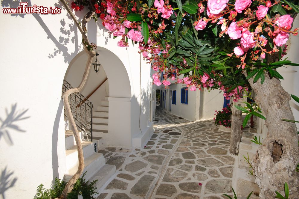 Immagine Tradizionale viuzza nella città di Chora sull'isola di Amorgos, Grecia. Linee perfette interrotte solo dalle macchie blu delle finestre, delle porte e del cielo in lontananza caratterizzano l'archtettura del principale villaggio dell'isola.