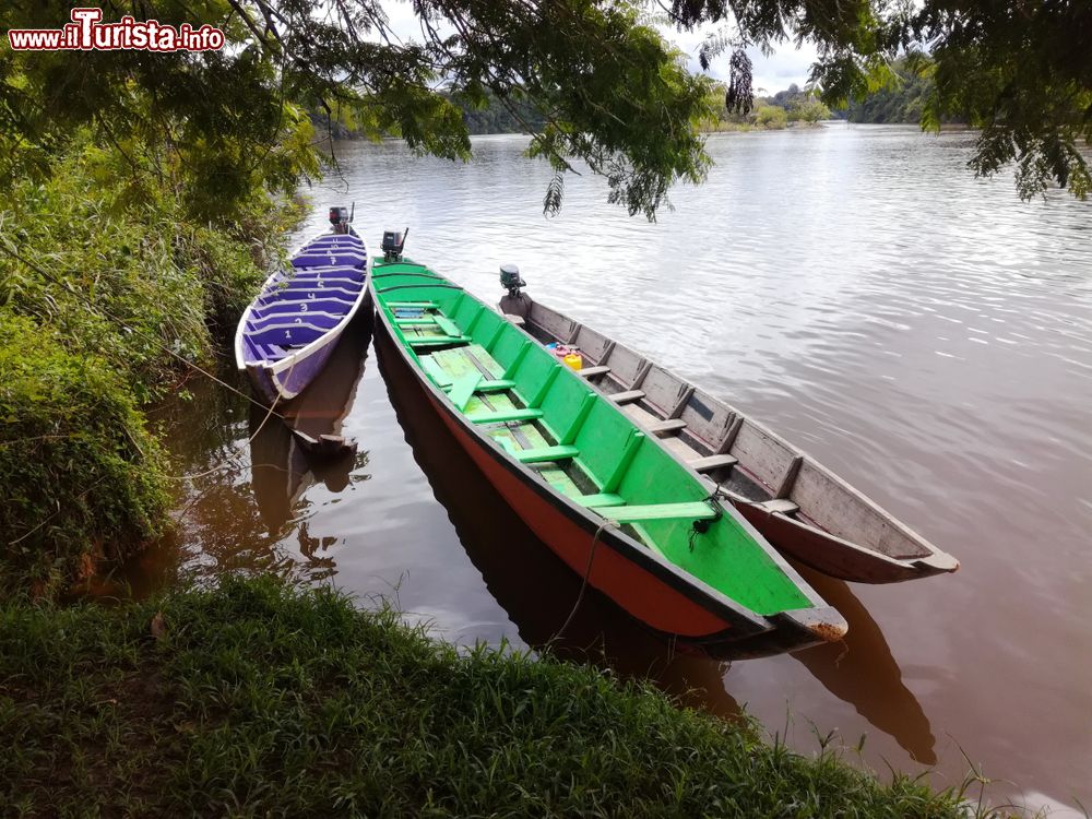Immagine Tradizionali barche in legno sul fiume Suriname, distretto di Sipaliwini, Sud America.