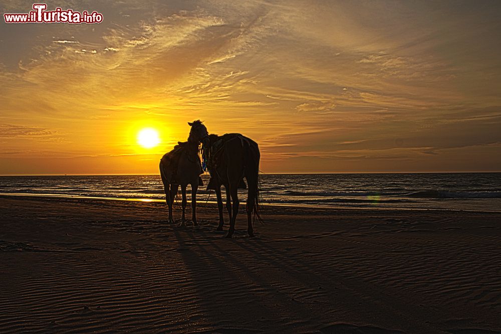 Immagine Tramonto a Vichayito, Piura, Perù. Un panorama mozzafiato sulla spiaggia peruviana con il calar del sole che incornicia due cavalli.