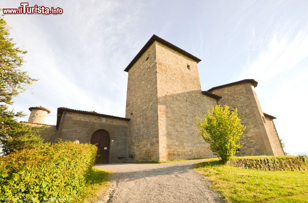 Immagine Tramonto al Castello di Leguigno vicino a Casina, provincia di Reggio Emilia - © Gigi Peis / Shutterstock.com