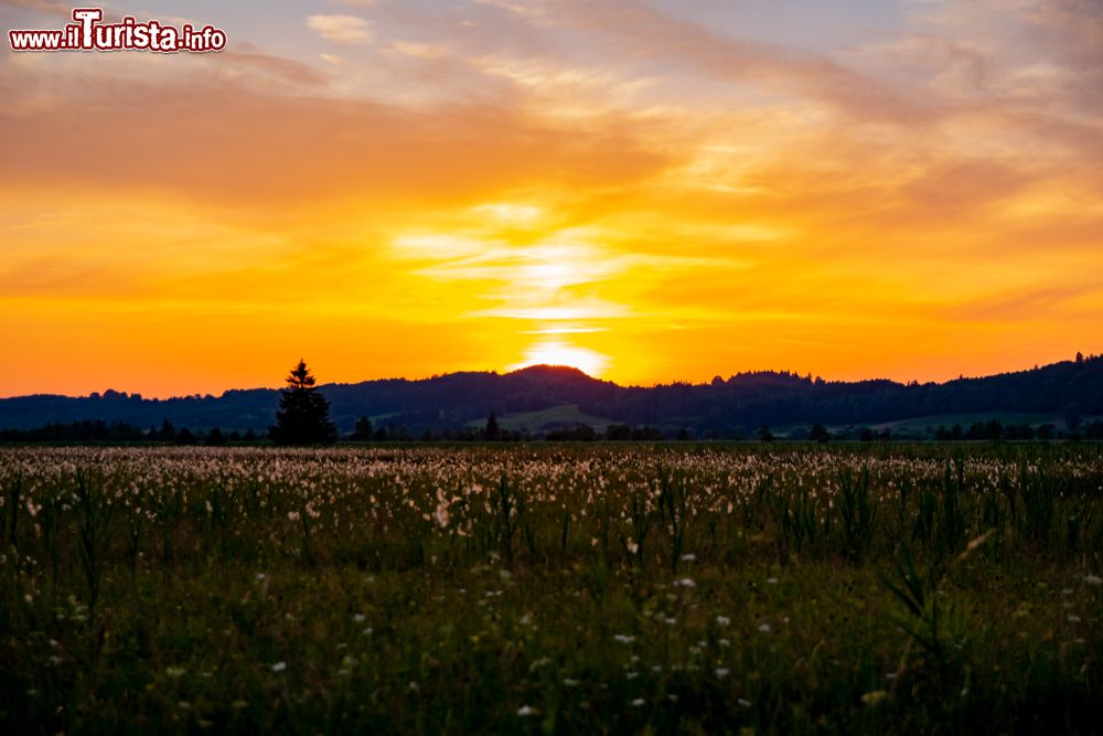 Immagine Tramonto dai colori accesi nella palude di Murnauer, Murnau am Staffelsee (Germania).