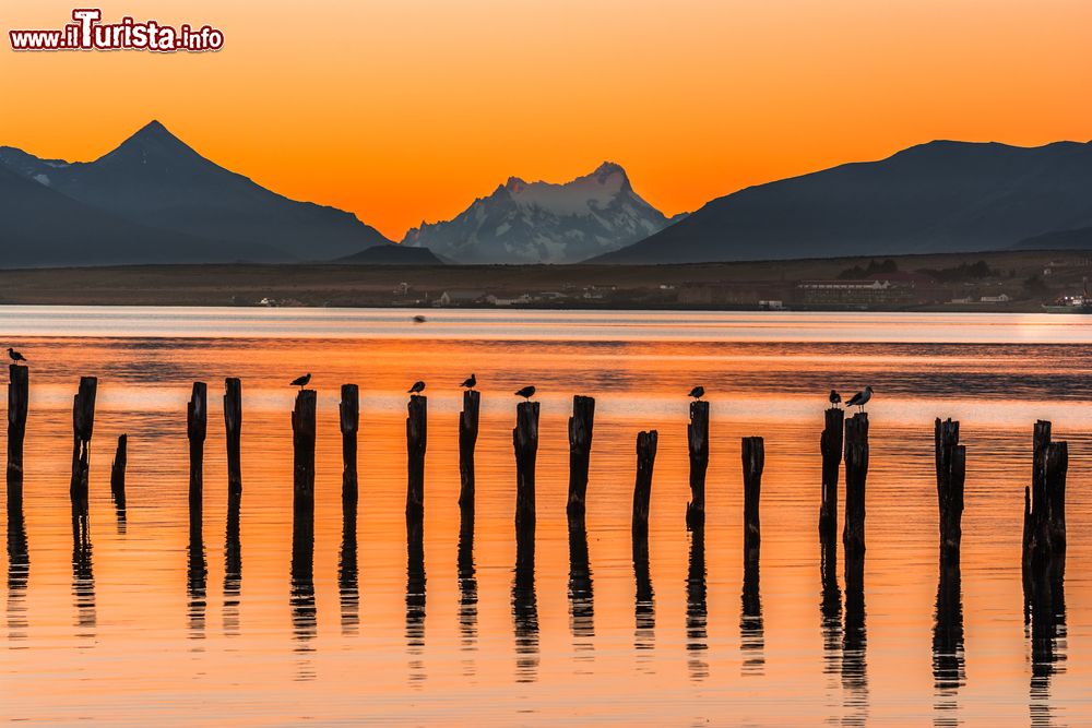 Le foto di cosa vedere e visitare a Puerto Natales