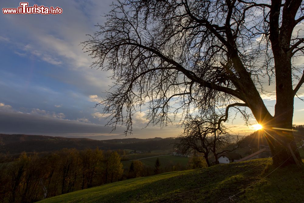 Immagine Tramonto su un paesaggio agreste nei pressi di Brezice, Slovenia.