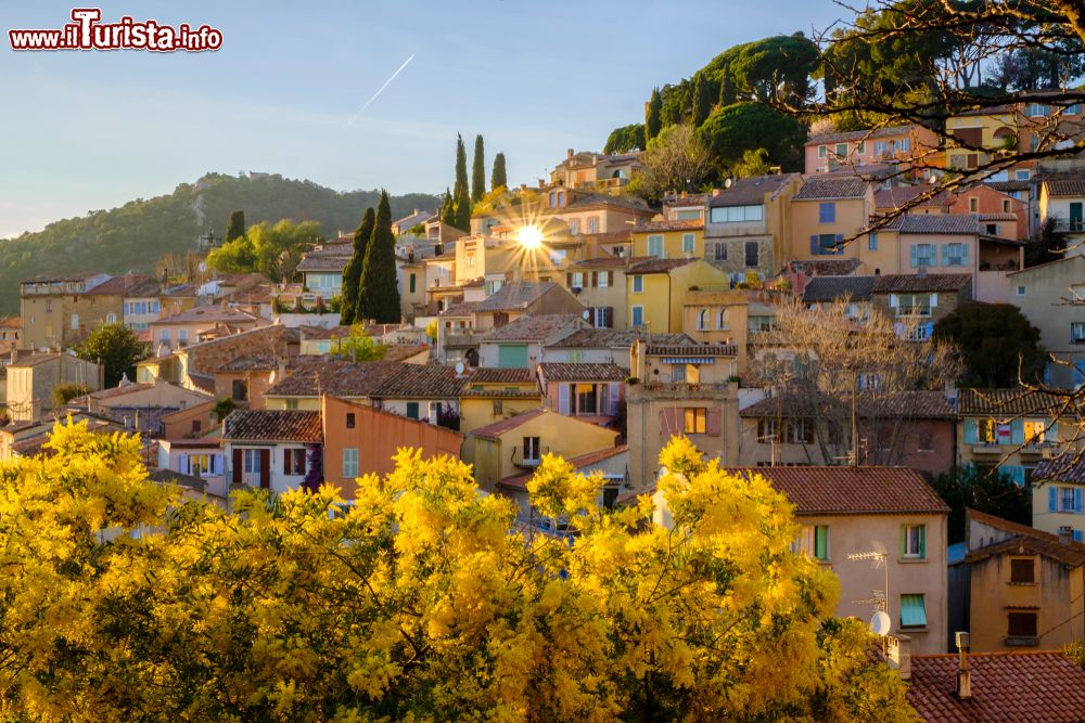 Immagine Tramonto sul borgo di Bormes-les-Mimosas (Francia) con le sue piante di mimosa fiorite.
