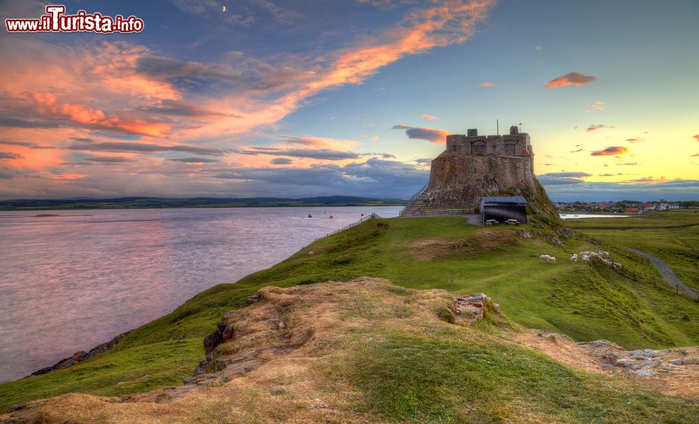 Immagine Tramonto sul castello di Lindisfarne, Inghilterra. Questo gioiello è il mix di un forte dell'artigliera Tudor e di una villa di campagna edoardiana. Le origini del maniero risalgono alla metà del 1500.