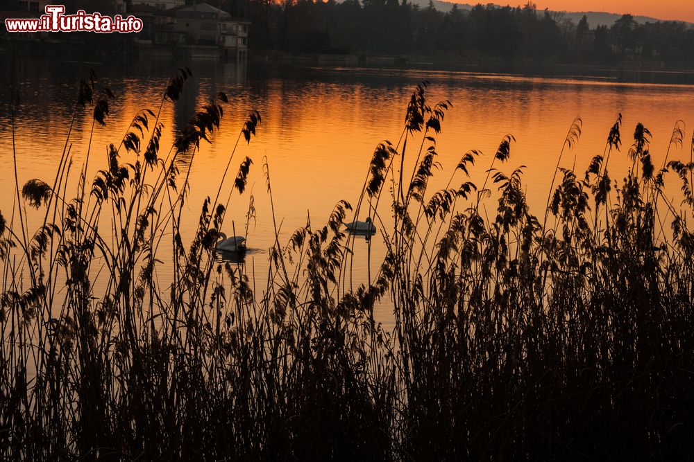 Immagine Tramonto sul fiume Ticino a Sesto Calende in Lombardia.