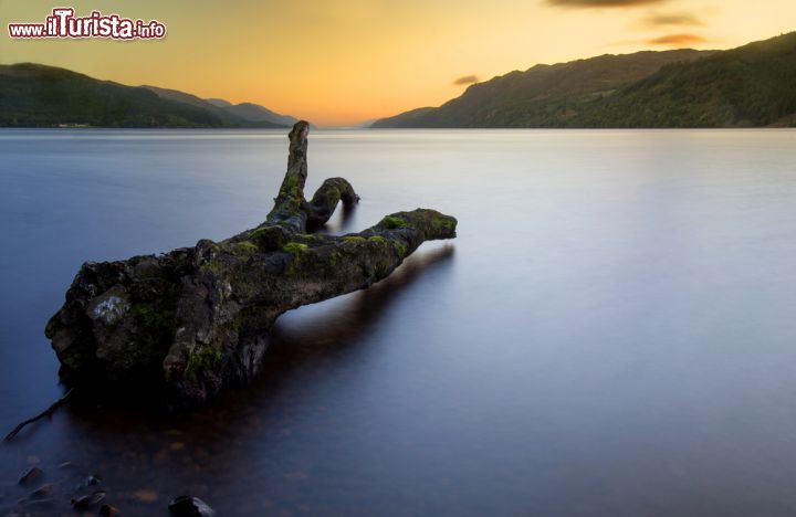 Immagine Il calare della notte sul Loch Ness, presso Fort Augustus - le scure e torbide acque del Loch Ness al tramonto. Un luogo di mistero e leggende che, ogni anno, attira la curiosità di migliaia di turisti, alla ricerca del famigerato Nessie. Questa misteriosa creatura, che viene periodicamente avvistata da più di mille anni, sarebbe, secondo alcune teorie, un plesiosauro sopravvissuto all'estinzione, la cui esistenza tuttavia non è mai stata realmente provata. - © cieniu1 / Shutterstock.com