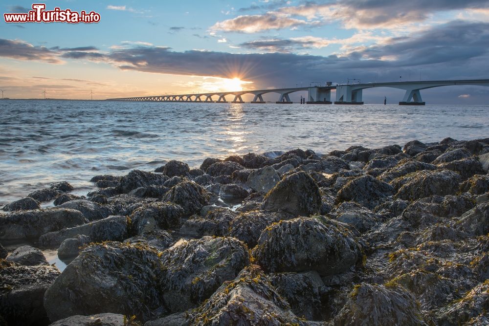 Immagine Tramonto sul ponte Zeelandbrug a Zierikzee, Zeeland, Paesi Bassi. Questo ponte collega le due parti principali della provincia di Zelanda.