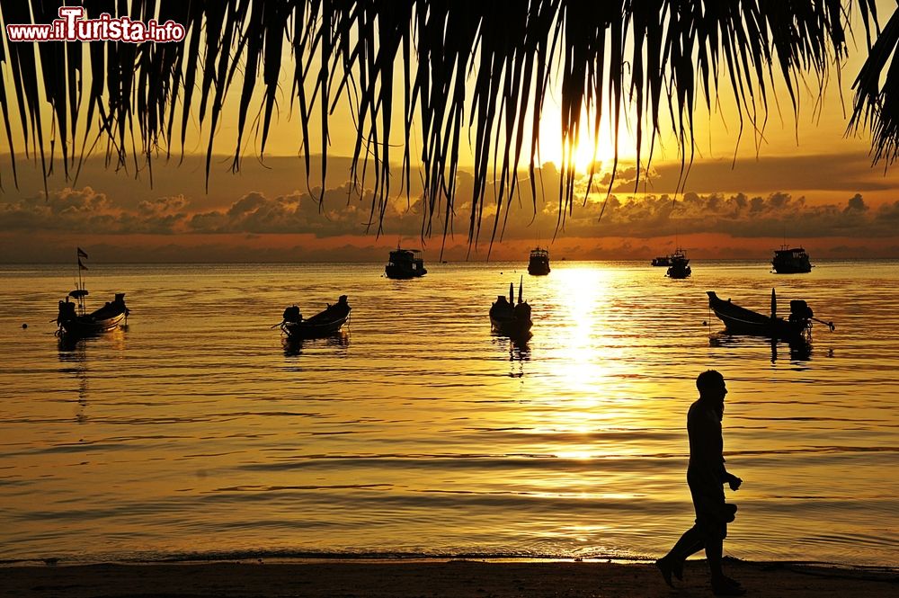 Immagine Un suggestivo tramonto sulla spiaggia di Koh Tao, Thailandia. Questa perla thailandese è nota anche come "isola tartaruga" per via della presenza di molte testuggini marine che negli anni passati si riproducevano sulle sue spiagge oltre che per la curiosa forma dell'isola stessa.