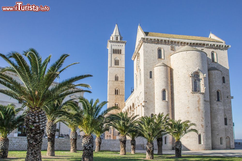 Immagine Trani, Puglia: la costruzione della cattedrale di San Nicola Pellegrino venne iniziata nel 1099 sulla base di quella più vecchia di Santa Maria della Scala.