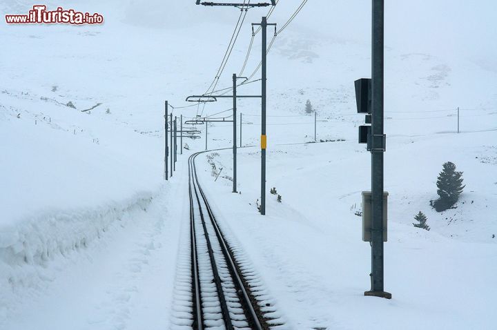 Immagine Un tratto innevato della linea ferroviaria dello Jungfrau, nei pressi di Grindelwald, Svizzera.