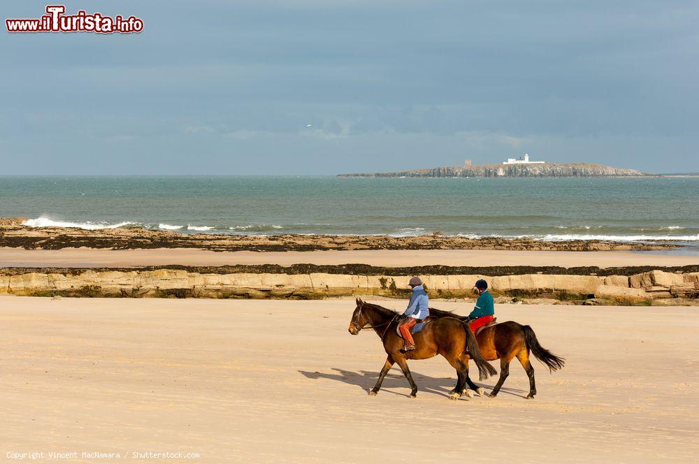 Immagine Trekking a cavallo sulla spiaggia nei pressi di Seahouses, Inghilterra. In lontananza sull'isola di Inner Farne il faro bianco - © Vincent MacNamara / Shutterstock.com